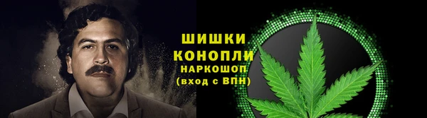 эйфоретик Касимов