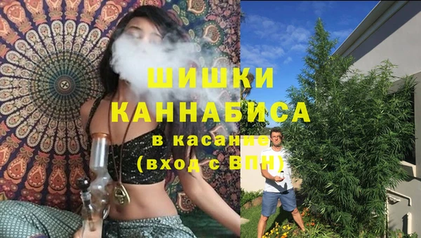 эйфоретик Касимов