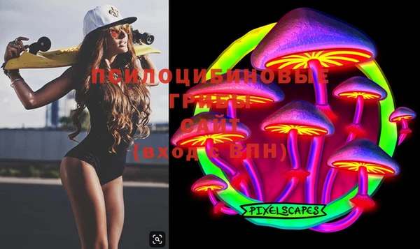 эйфоретик Касимов