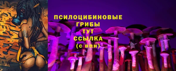 кокаин Каменногорск
