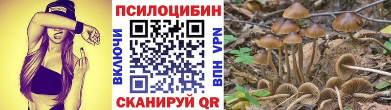 Купить закладки  Зеленокумск  Галлюциногенные грибы мухоморы 